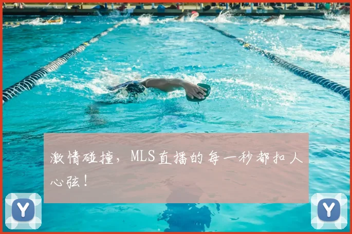 激情碰撞,MLS直播的每一秒都扣人心弦!