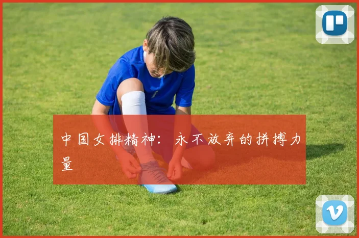 中国女排精神：永不放弃的拼搏力量